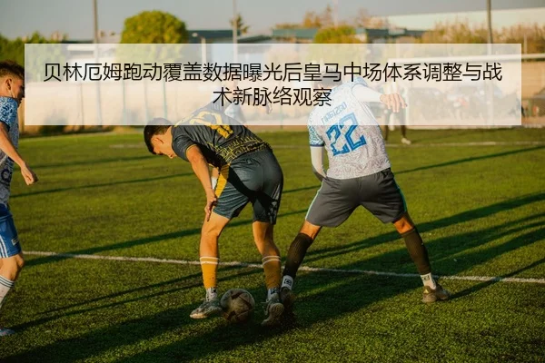 img_1783696384755_3347_1_921.jpg
